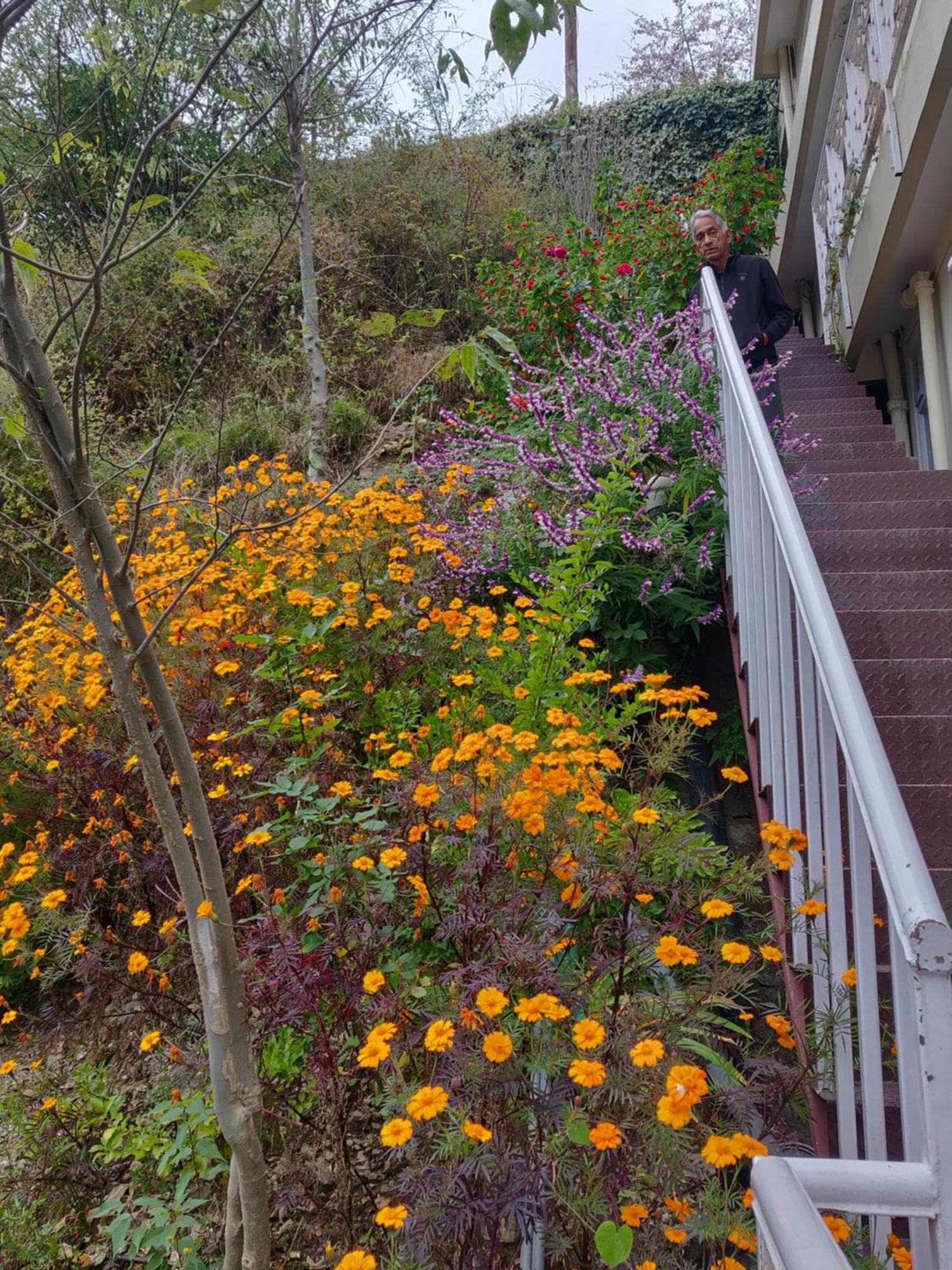 Vatsalyam Home Stay 西姆拉 外观 照片